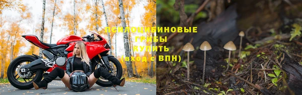 МДПВ Дмитров