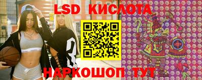PSILOCYBIN Можайск