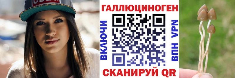 как найти закладки  гидра ТОР  Псилоцибиновые грибы Cubensis  Волжск 