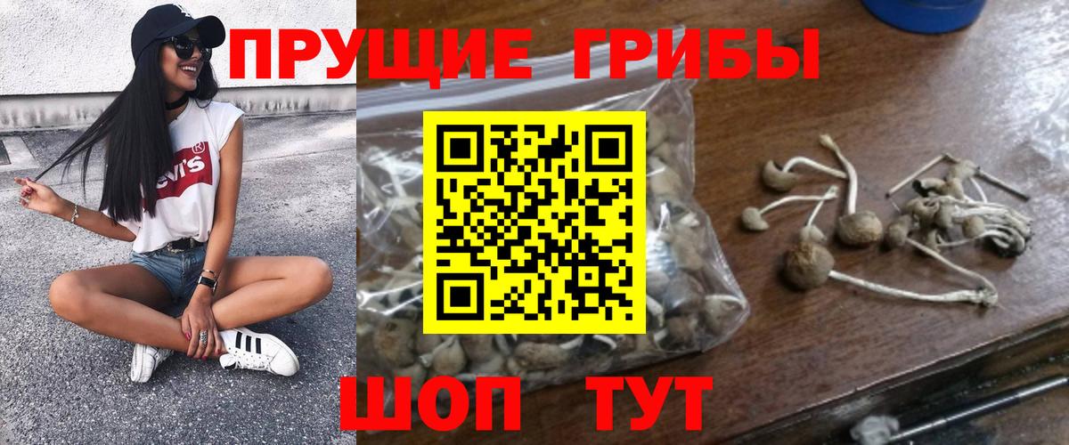 Псилоцибиновые грибы MAGIC MUSHROOMS Волжск